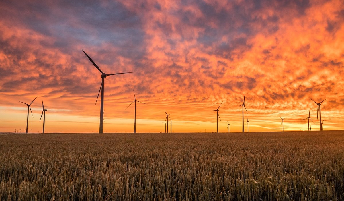 How to read your energy bill accurately