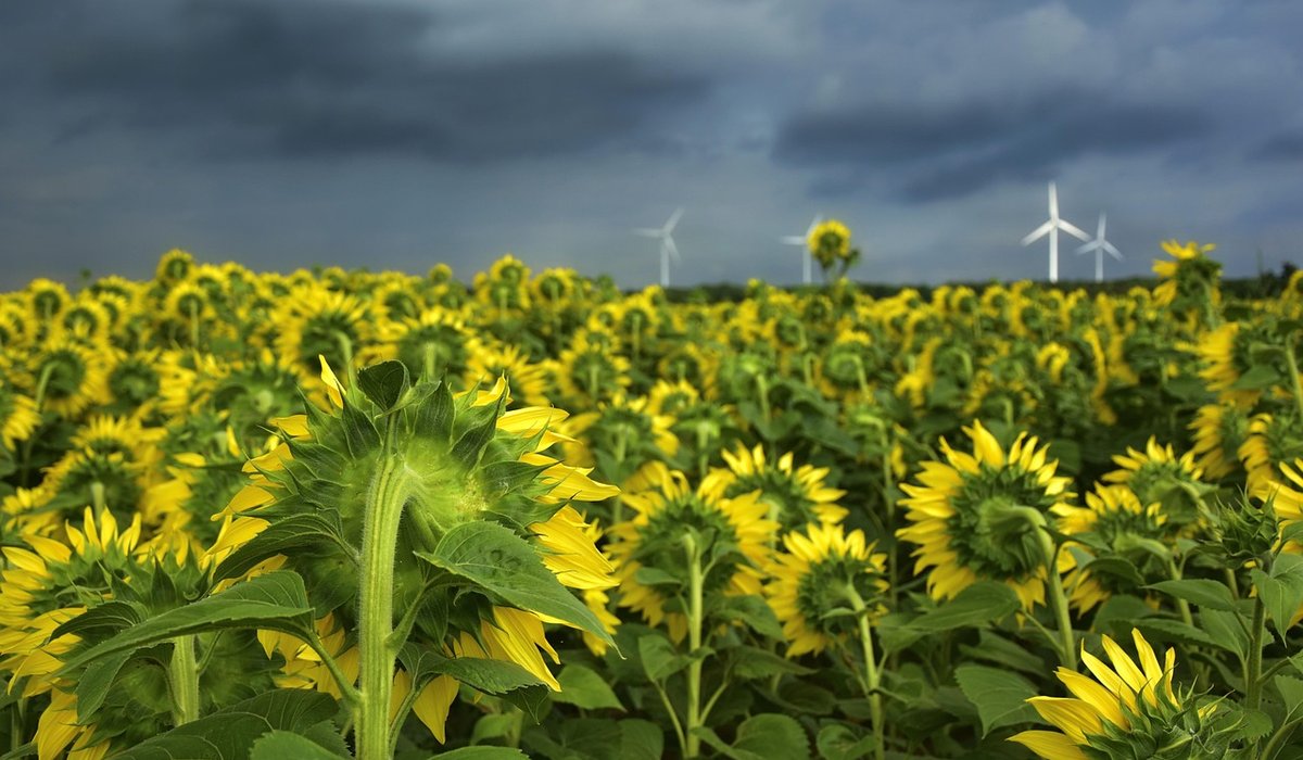 Passive cooling ideas for warmer British summers